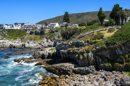 View at the coast of Hermanus on South Africaの写真素材