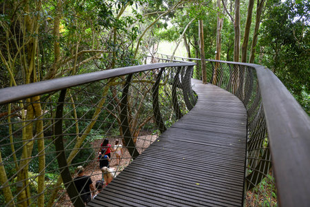 View of the Kirstenbosch botanical garden at Cape Town on South Africaの写真素材