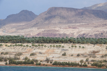 Landscape at the Dead sea on Jordan