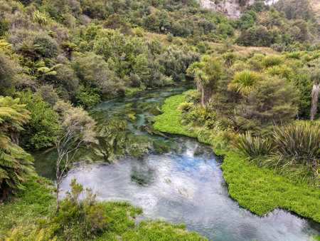 Drone view at Blue Spring river (Te Waihou Walkway) on New Zealand