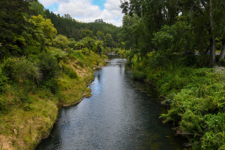 Waikino Bridge & Village Memorial on New Zealand
