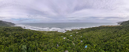 Drone view at the forest over Punakaiki on New Zealand