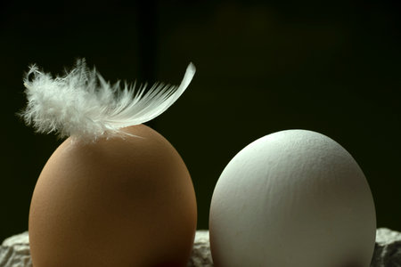 Chicken egg with a feather from a bird on a black background, Easter egg, close-up