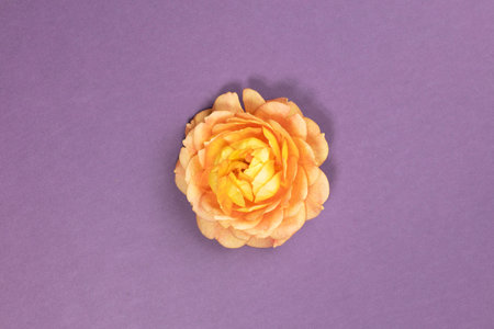 Happy birthday, happy Valentines Day, happy anniversary greeting card.