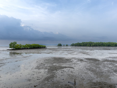 Low tide scenery in Iloilo Philippines.