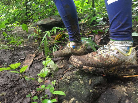 Trail mud run rain rockの素材