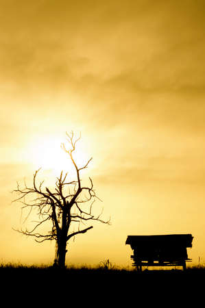 Sunrise with silhouetted tree,houseの写真素材