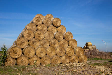 Straw pile on the fields, summertime, daylight, blue sky. Hay balesの写真素材