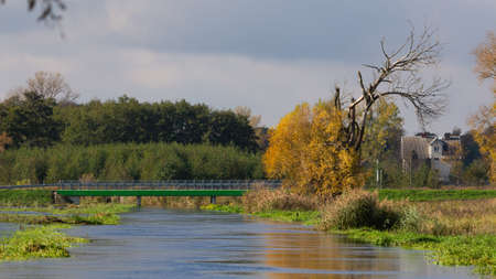 A local river overflows after autumn rains. BÅ‚onie, the Utrata River