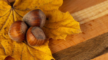 A composition of hazelnuts and golden maple leavesの写真素材