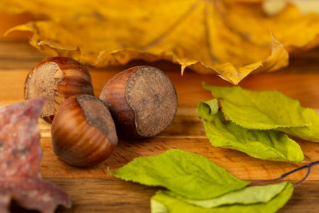 A composition of hazelnuts and golden maple leaves