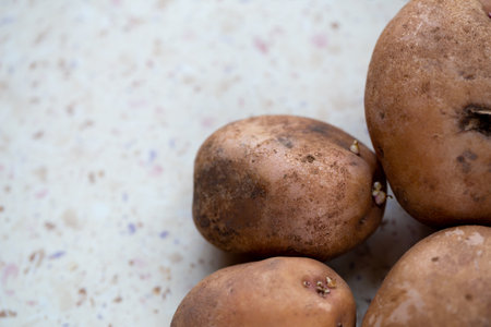 A few organic potatoes on the table. Made in natural light, soft shadows.の写真素材
