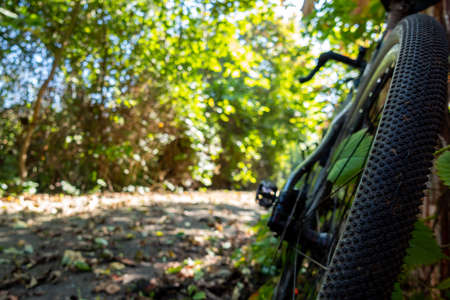 A close-up of a gravel bike tire leaning against a fence during a driveway. Adventure on a gravelike bike. Photo taken on a beautiful sunny day.の写真素材