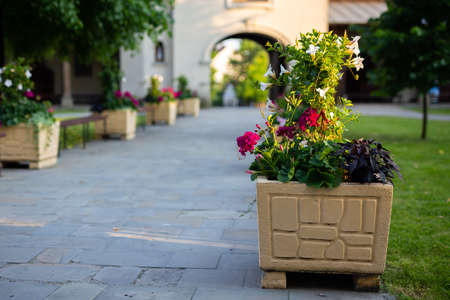 A large ceramic flower pot stands by the sidewalk leading to the entrance to the church. Picture taken in a soft light, shaded place.の写真素材