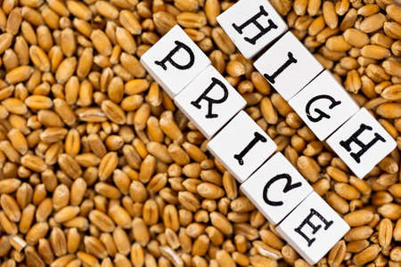 The wording High Price composed on the background of bulk wheat grain. High price of cereals. Scene...