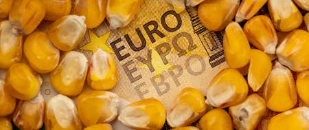 Corn grains with details of 50 Euro banknote. Object lit with a uniform, soft light.