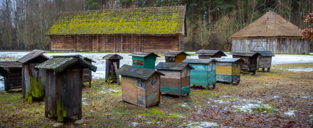 Old hives on display in the open-air museum of folk culture. The photo was taken on a cloudy winter...