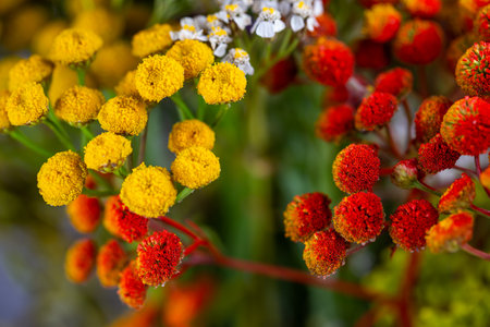 Dried flower arrangement, plenty of flower kinds and colors. Studio photo taken with flash light