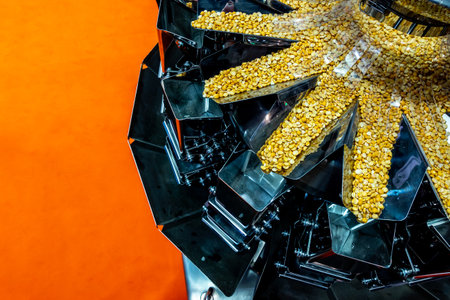 An industrial multihead weighing machine that prepares pea portions for packaging. The photo was taken under natural lighting conditions.の写真素材