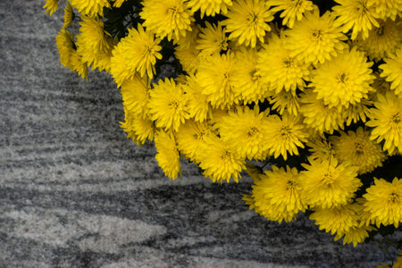 A bouquet of yellow, tiny chrysanthemums. The photo was taken under natural lighting conditions.の写真素材