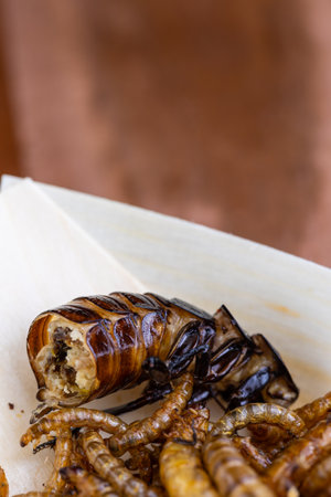 Fried wood grubs, mealworms and cockroach on a wooden chopping board. Fried insects as a source of protein in the diet.の写真素材