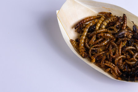 Fried wood grubs and mealworms on a wooden tray on a white background. Fried insects as a source of protein in the diet.の写真素材