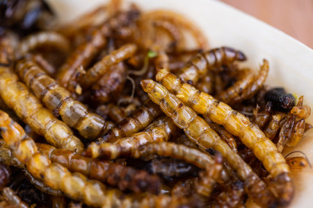 Fried wood grubs and mealworms on a wooden chopping board. Fried insects as a source of protein in the diet.の写真素材