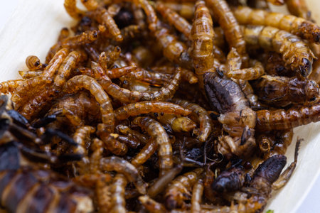 Fried wood grubs and mealworms on a wooden tray on a white background. Fried insects as a source of protein in the diet.の写真素材