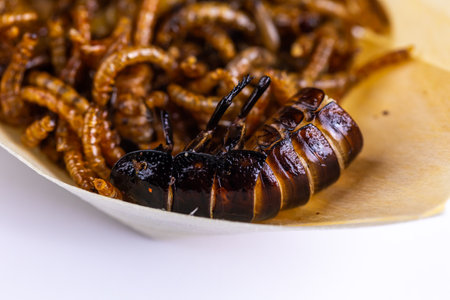 Fried wood grubs, mealworms and cockroach on a wooden tray on white background. Fried insects as a...