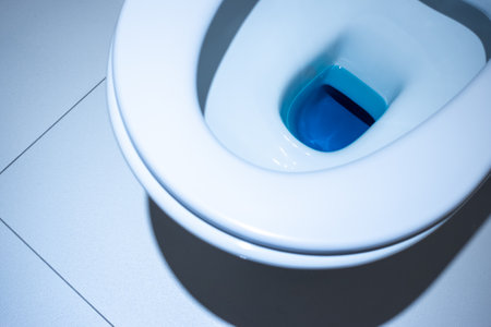 Close up view inside the toilet bowl in the toilet. Bathroom finished with white glaze tiles and white terracotta.の写真素材