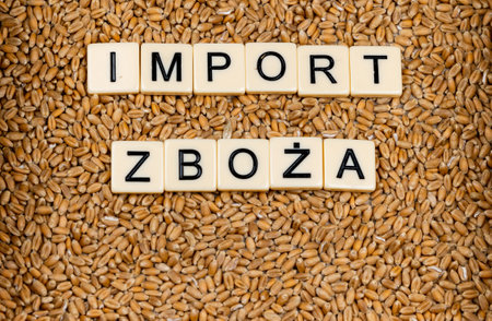 Sentence in Polish language cereal import made by letter tiles on the wheat grain. Changes on food...