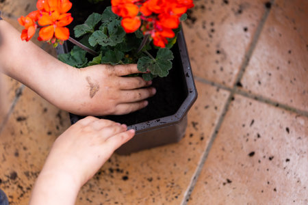 Planting peargonium and other potted flowers for balcony decoration. Spring arranging gardens and decorating balconies.の写真素材
