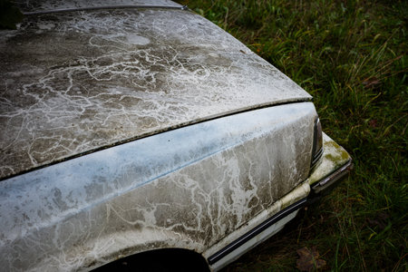 White American passenger car abandoned in the woods. The vehicle eaten away by rust and covered in moss.の写真素材