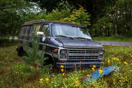 Gray American van abandoned in the woods. The vehicle eaten away by rust and covered in moss.の写真素材