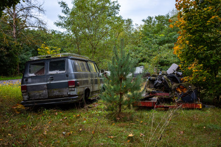 Gray American van abandoned in the woods. The vehicle eaten away by rust and covered in moss.の写真素材