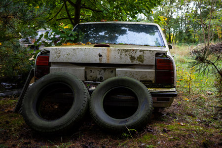 White American passenger car abandoned in the woods. The vehicle eaten away by rust and covered in moss.の写真素材