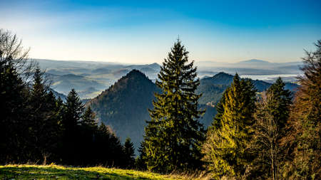 Poland, Pieniny Mountains, view from the road to the top of Trzy Koronyの写真素材