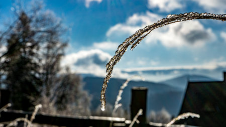 icy grass in the mountains, winter in the mountains, computer desktop backgroundの写真素材