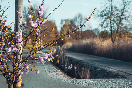 Iron Cycle Trail in winter in Poland, Silesiaの写真素材