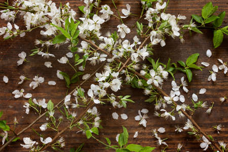 Fresh branches of an apple tree with white flowers and fresh green leaves on wooden background as a...