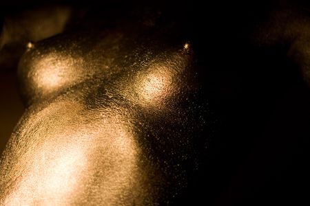 golden bodyの写真素材