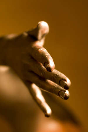 golden palmの写真素材