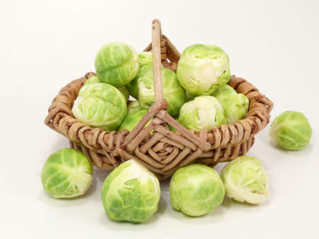 Cabbageの写真素材