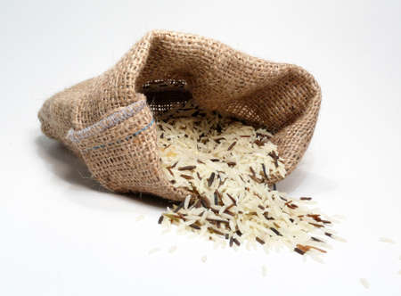 Oryzaの写真素材