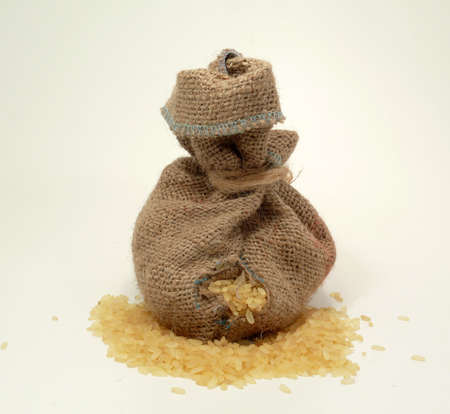 Rice, important basic food of millions humans in the worldの写真素材