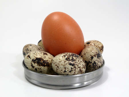 eggs, symbol of fertility and springの写真素材