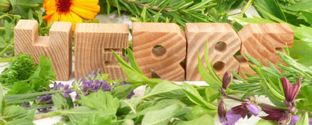 herbsの写真素材