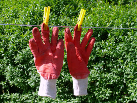  working glovesの写真素材