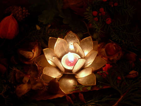 autumnの写真素材