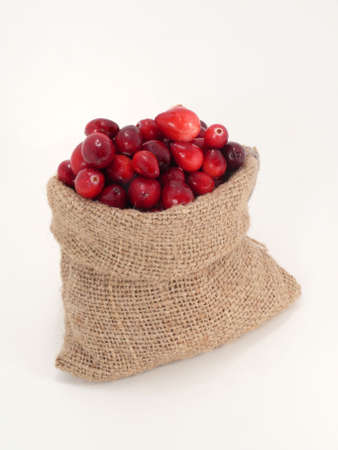 cranberries in the bagの写真素材